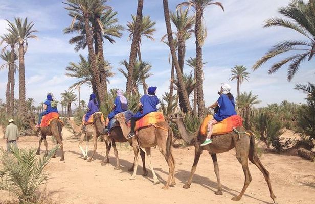 Agafay Desert Experience Camel Trek, Quad Ride & Dinner Show