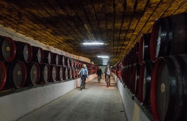 Private Bike Tour to Cricova Winery with wine tasting and lunch 
