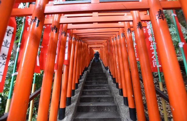 Haneda Layover tour of 6hours with local Japanese guide by train 