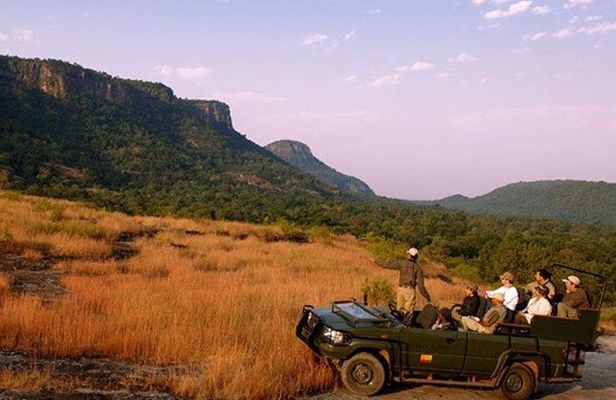 Private Day Tour Of Ranakpur Jain Temple & Jungle Safari From Udaipur