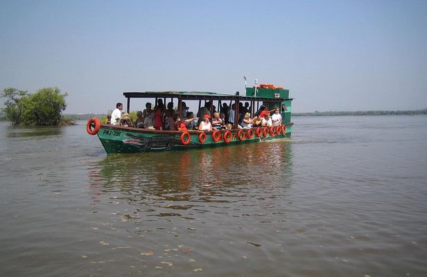 Crocodile spotting with walking tour of local plantation in Goa 