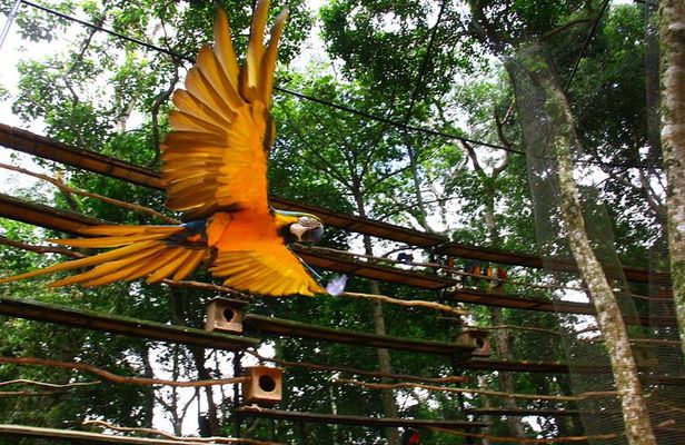 3 Days and 2 Nights 3 Stars Hotel Iguassu Falls - Private Tours