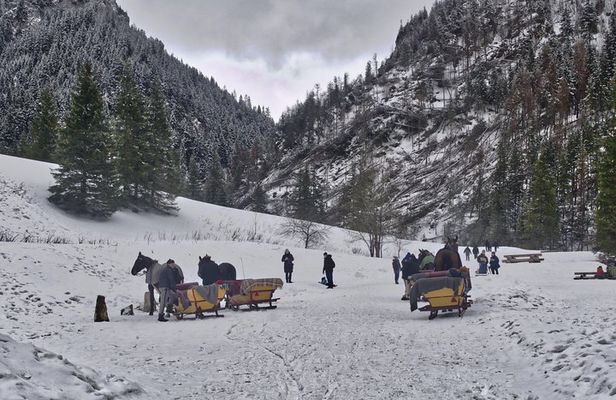 Horse Sleigh Ride in the Polish Countryside, private tour from Krakow