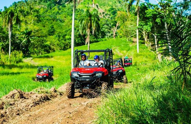 Adventure Bundle: Monkeyland, Ziplines & Buggies Punta Cana