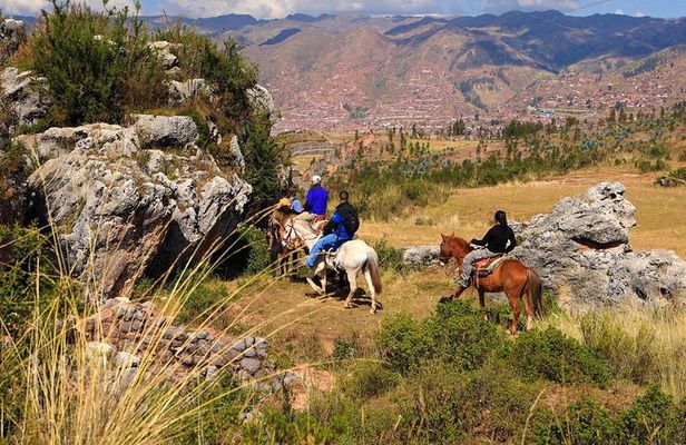 Half Day - City Horse Traditional Riding Tour Group Service