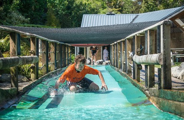 Tauranga: Waimarino Adventure Park