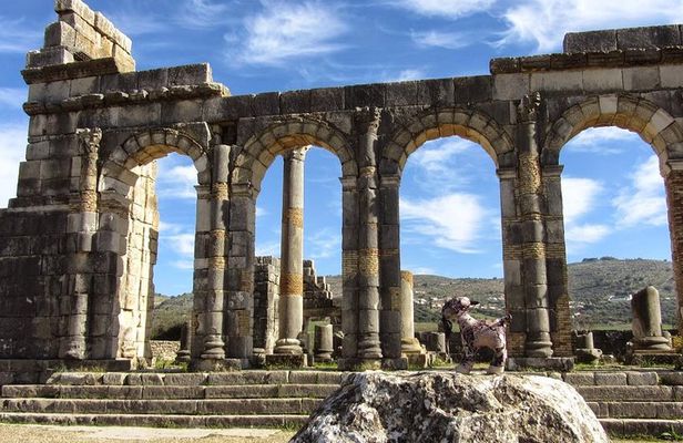 fes to volubilis and meknes day trip