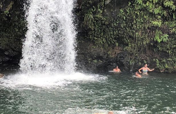 Maui Tour : Road to Hana Day Trip from Kahului Lunch, Water, Chip