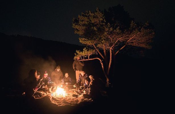 Northern Lights Minibus Chase from Tromso