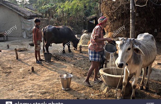 Village Tour