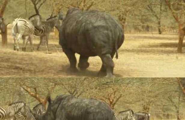 bandia wildlife reserve private- minimun 2 people to book it