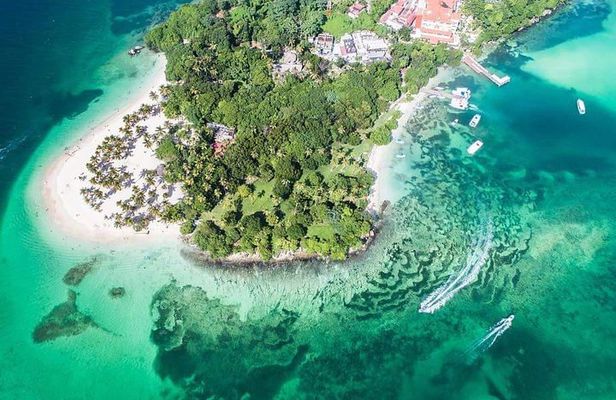 Samana Whale Watching + Cayo Levantado ( Bacardi Island) with Lunch by Locals