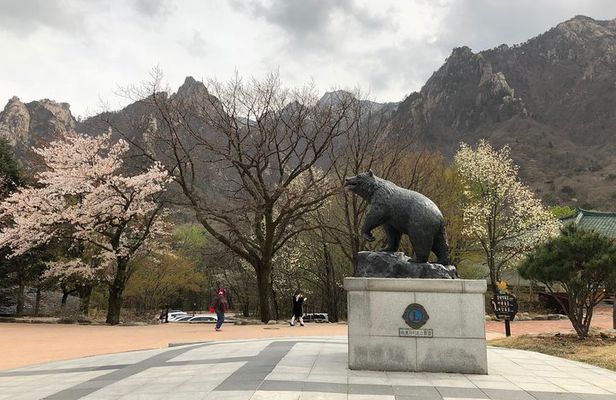 Mt. Seorak+Nami Island+Garden of Morning Calm Day Trip from Seoul