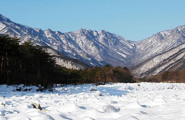 Mt. Seorak+Nami Island+Garden of Morning Calm Day Trip from Seoul