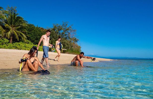 Half Day Low Isles Snorkelling Tour from Port Douglas