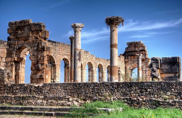 Fes to volubilis day trip