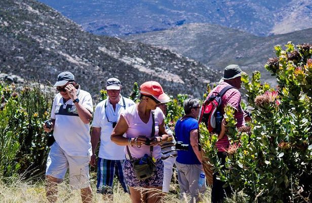 Swartberg Pass Tour including Traditional Karoo Lunch