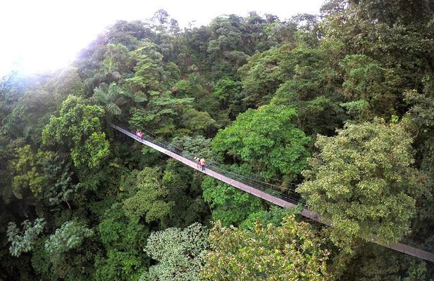  Suspension Bridges, Fortuna waterfall, Typical lunch