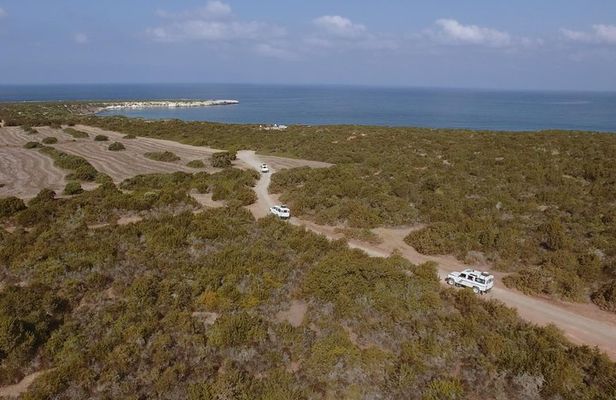 Jeep Safari Akamas from Paphos