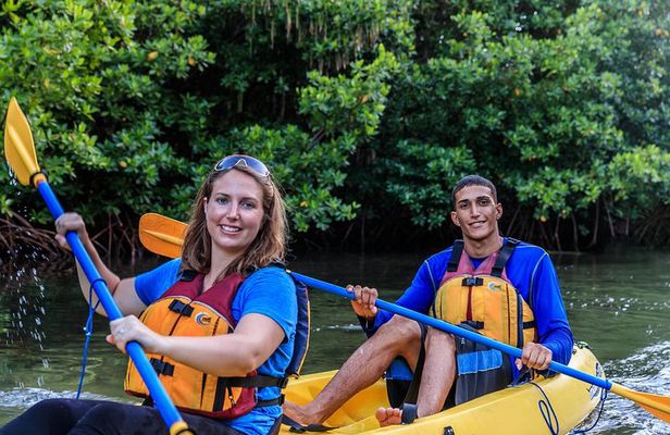 Bio Bay Night Kayaking with Transport from San Juan 
