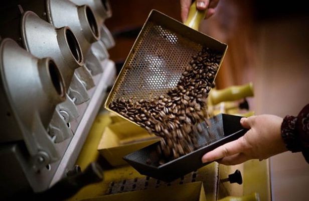 Britt Coffee Tour from San José