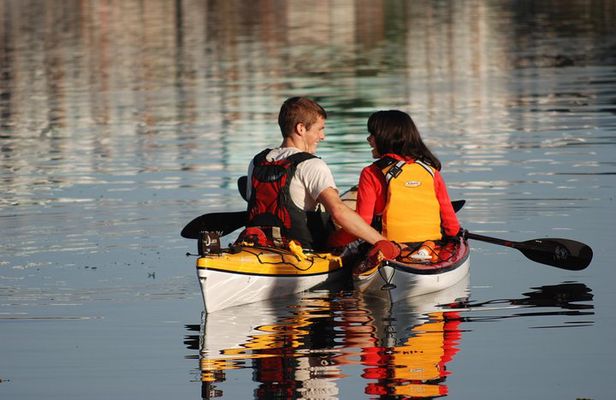 Victoria Harbour Kayak Tour