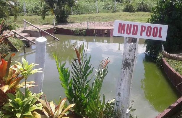 garden of the sleeping giant and mudpool tour combo