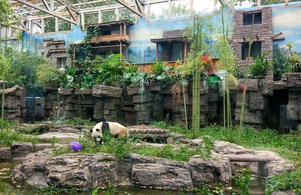 Beijing Half-Day Private Customized Tour: Visit Your Dream Spots