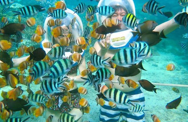 Bali Ocean Walker