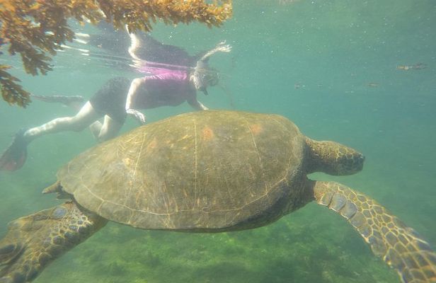 Enjoy the Best of Quito and Galapagos (3 Islands ) 8-Day Trip