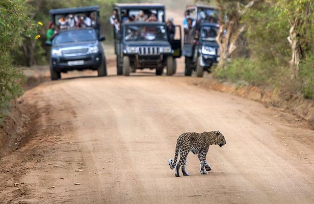 2 Days Tour to Galle & Udawalawe National Park