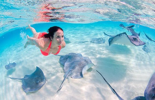 Sharks & Stingrays Encounter and Small Boat Ride from Punta Cana