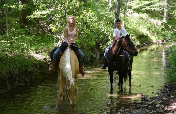 Horse Riding Experience in Marmaris with Transfer