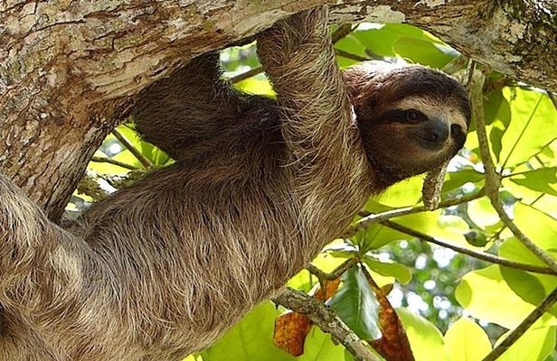 Exotic Landscapes of Costa Rica