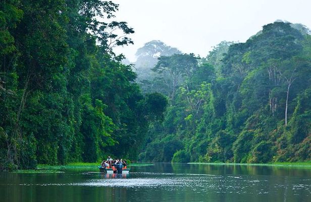 8 Days - San Jose - Tortuguero - Cahuita
