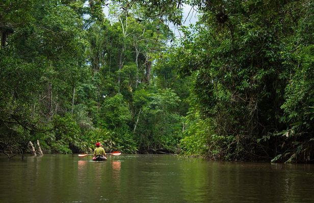 5-Day All Inclusive Cuyabeno Amazon Adventure with Accommodation in Eco Lodge