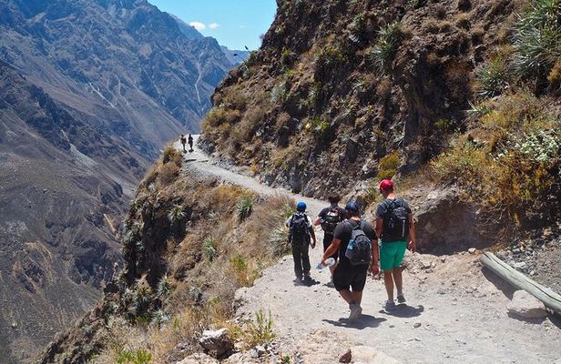 3-Day Backpacker Colca Canyon Trek from Arequipa