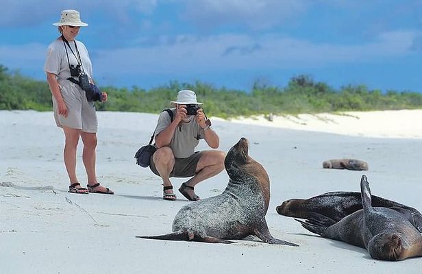5 Days Galapagos Tour: Santa Cruz and Isabela Islands