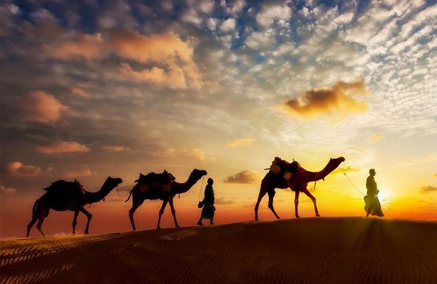 12-day Private Tour: Maharaja Rajasthan