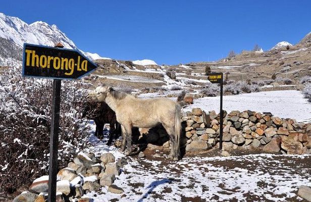 10-Day Annapurna Circuit Trek in Nepal