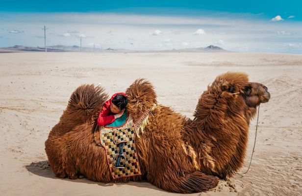 Kharkhorum, Khustai, Mini Gobi & Ger Under the Stars: 3-Day Tour