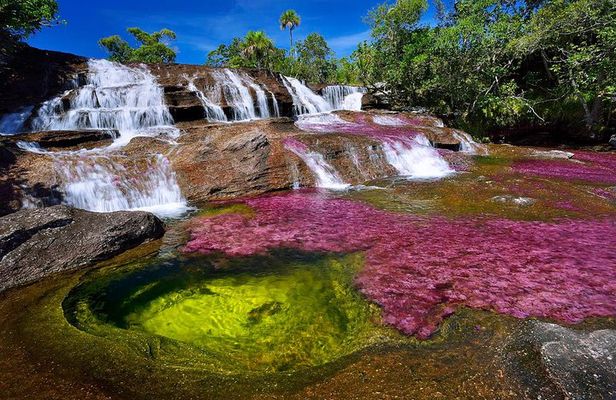3-Day Caño Cristales (Rainbow River) from Bogotá