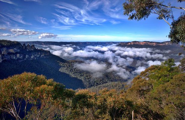 Unforgettable Blue Mountains Day Tour