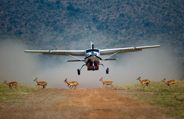 3-Day Masai Mara Flying Luxury Lodge Private Safari