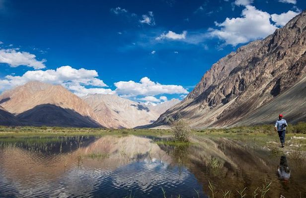 Ladakh Mesmerising Tour