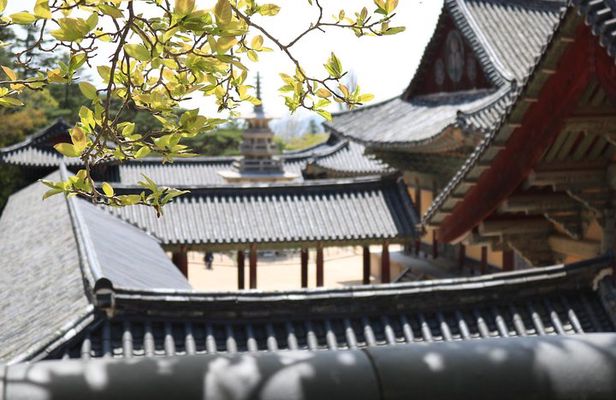 Gyeongju The UNESCO World heritage sites tour(Private tour)