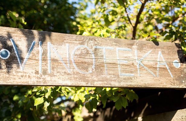 Wine Tasting & Winery Tours