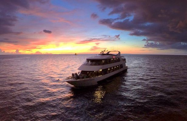 Evening Yacht Cruise with Optional Dining in St. Petersburg
