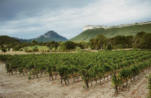 Hike to the top of "Pic Saint Loup", wine & food