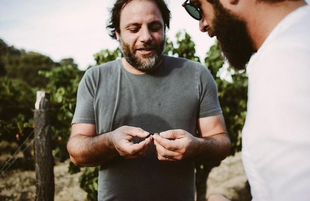 Bertrand Bosc wine and food tour in Pic St Loup